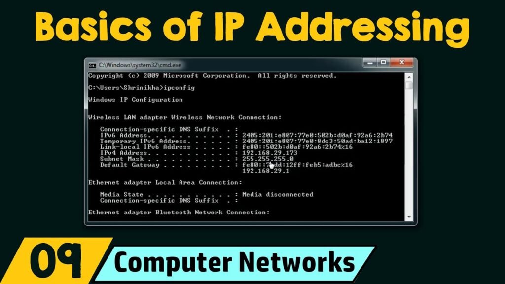 The Basics of IP Addressing