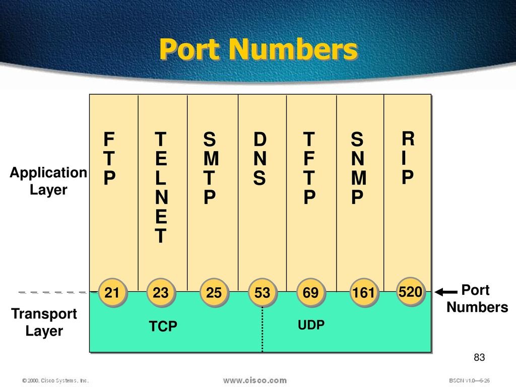 The Role of Port Numbers